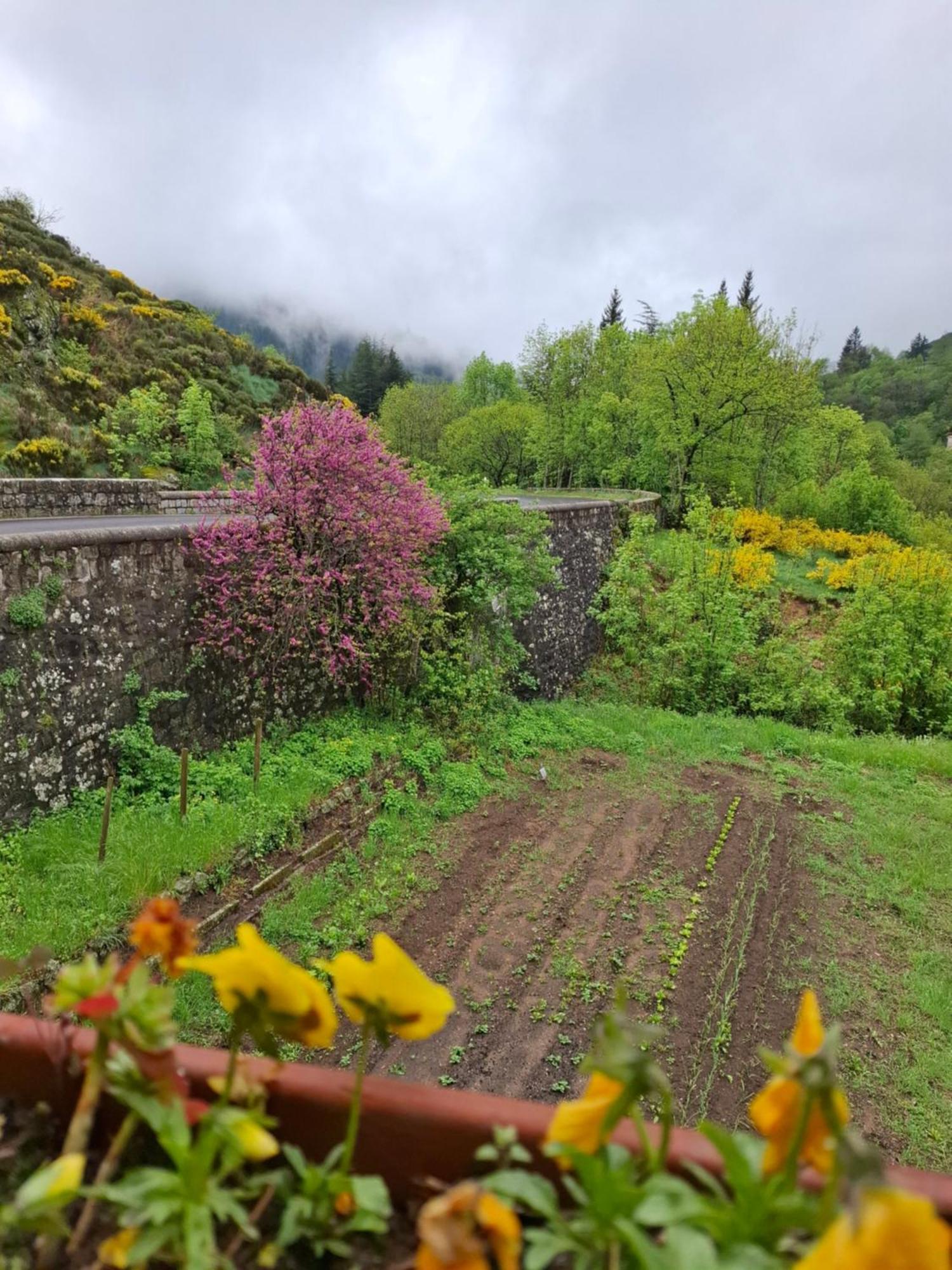 Auberge Arthea Laviolle 외부 사진